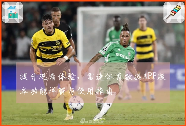 提升观看体验，雷速体育数据APP版本功能详解与使用指南